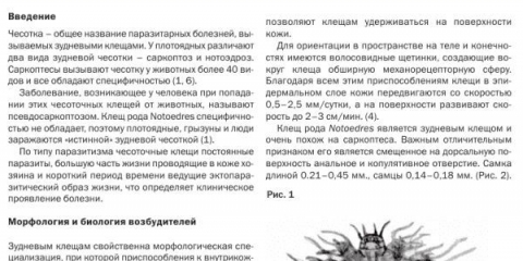 Crveni pileći krpelj - kako se boriti i kako liječiti